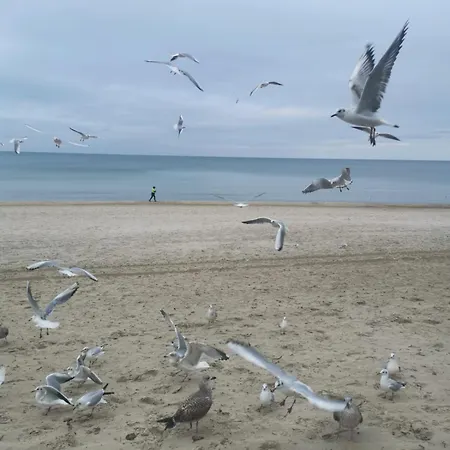 Apartman Diva Prywatny Przy Morzu Kołobrzeg