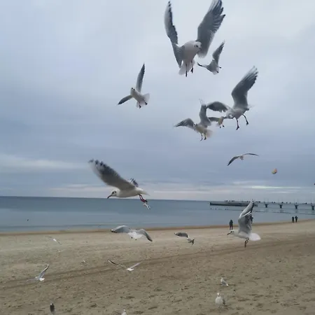 Apartman Diva Prywatny Przy Morzu Kołobrzeg