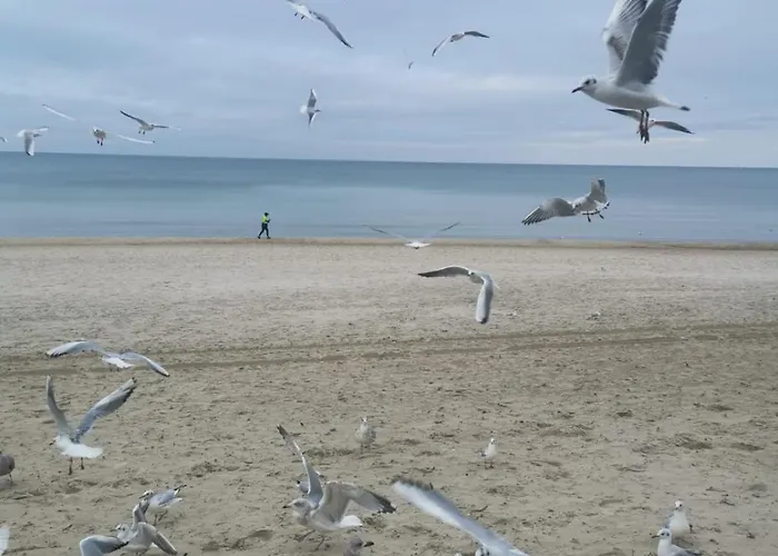 Appartement Diva Prywatny Przy Morzu Kołobrzeg